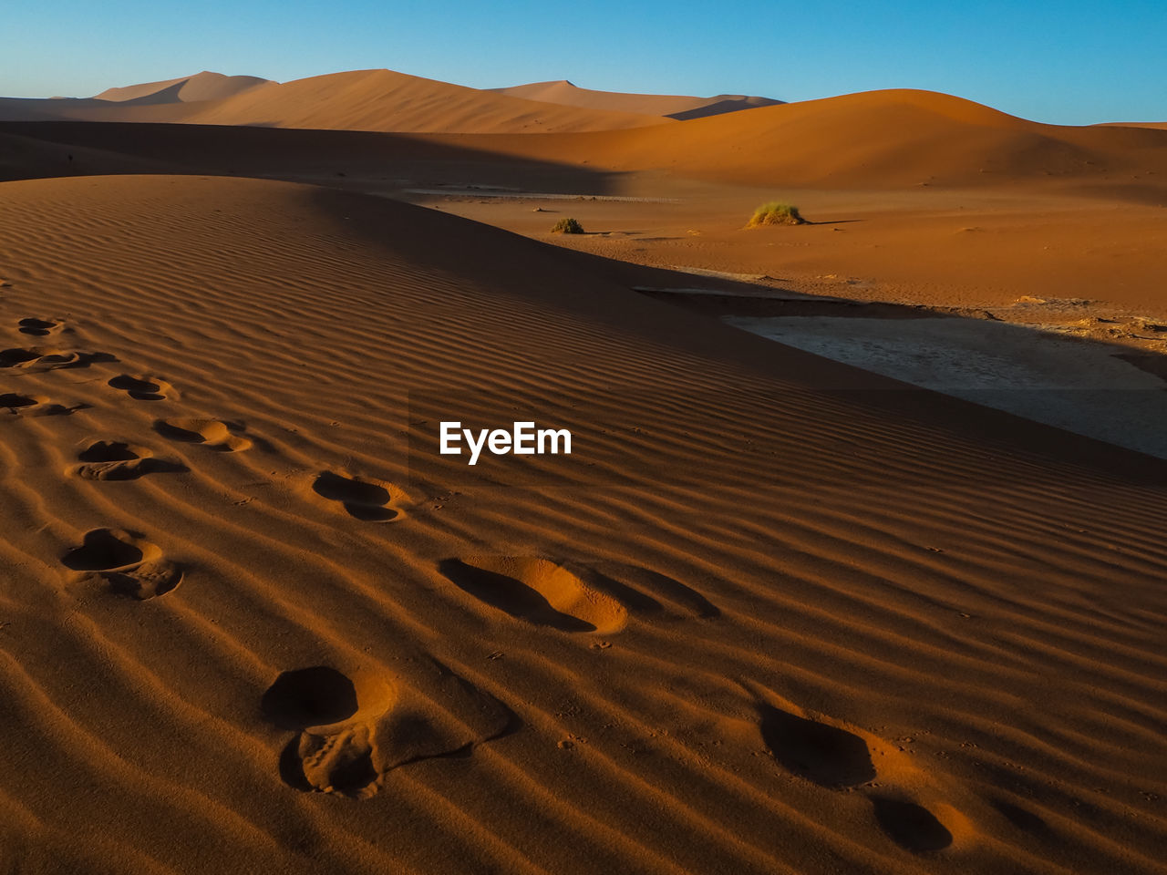 Sand dune in desert against sky