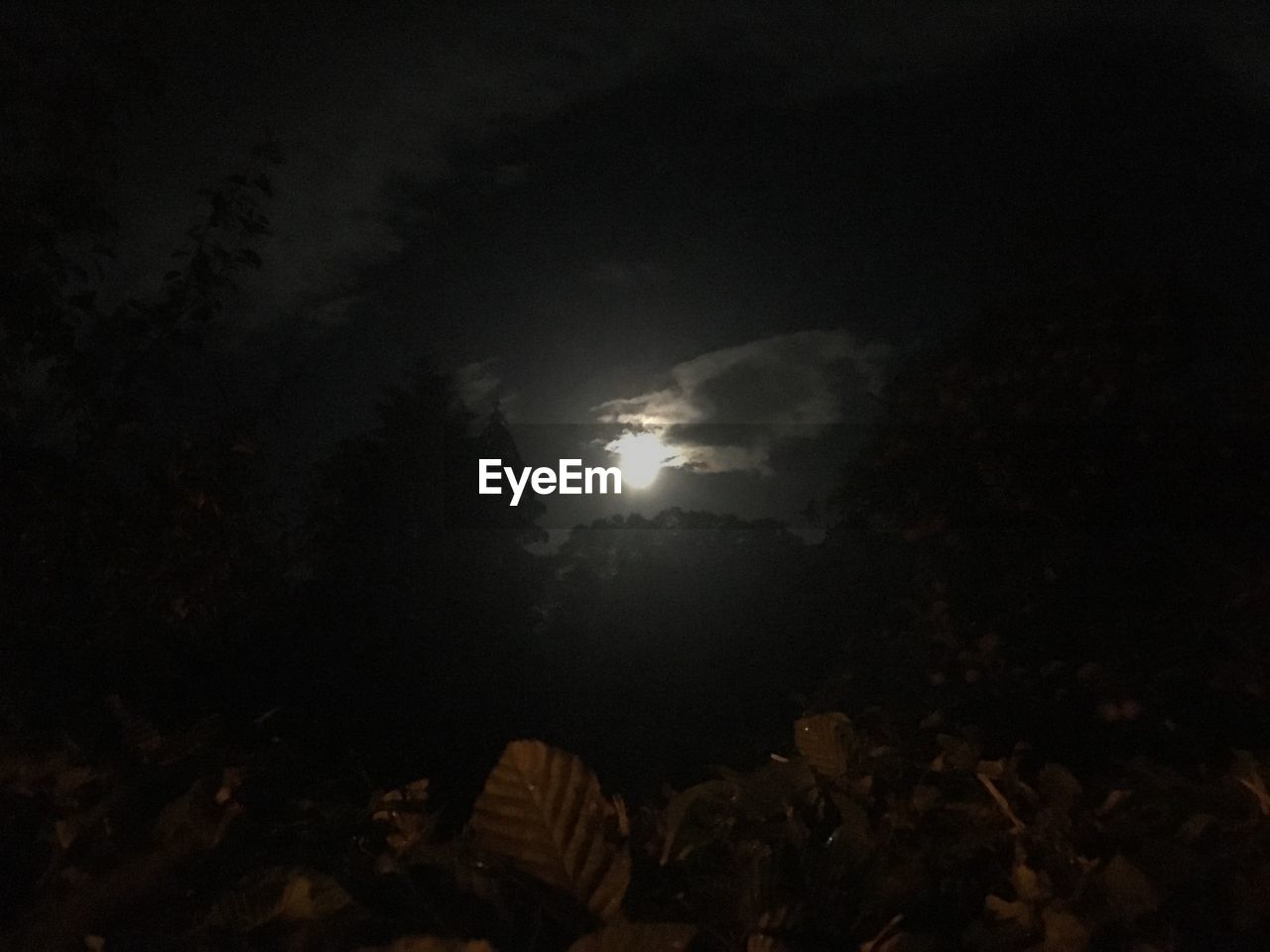 LOW ANGLE VIEW OF MOON IN SKY