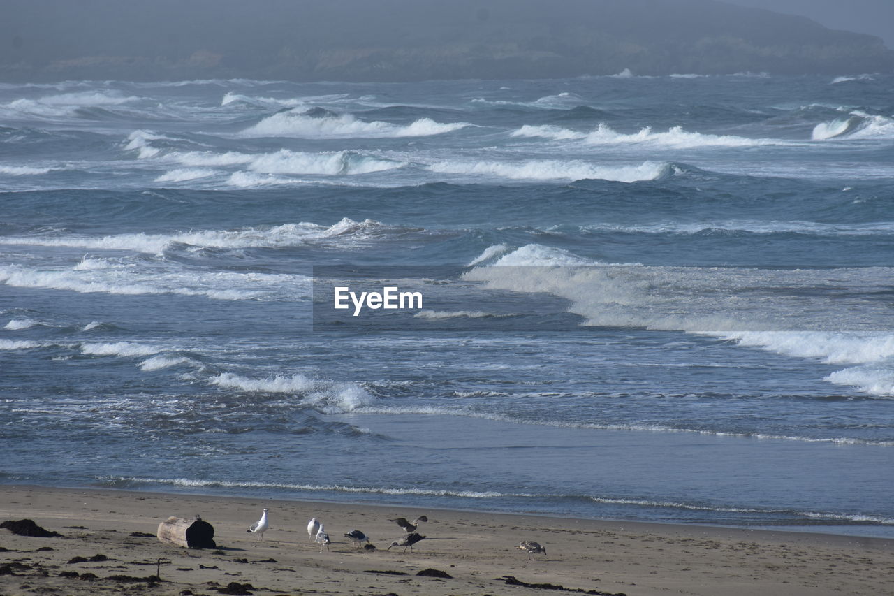 Scenic view of beach