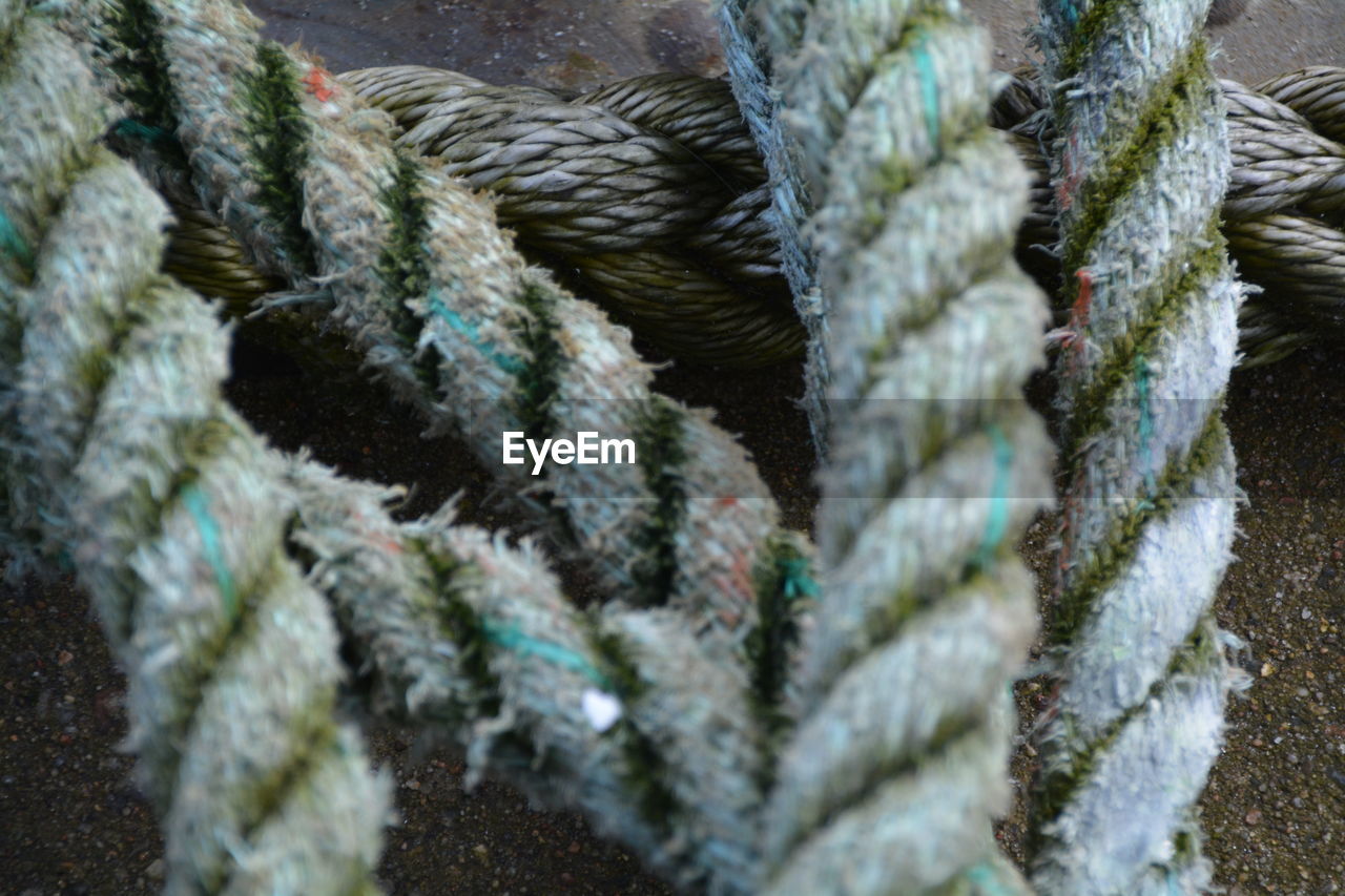 Close-up of rope on footpath