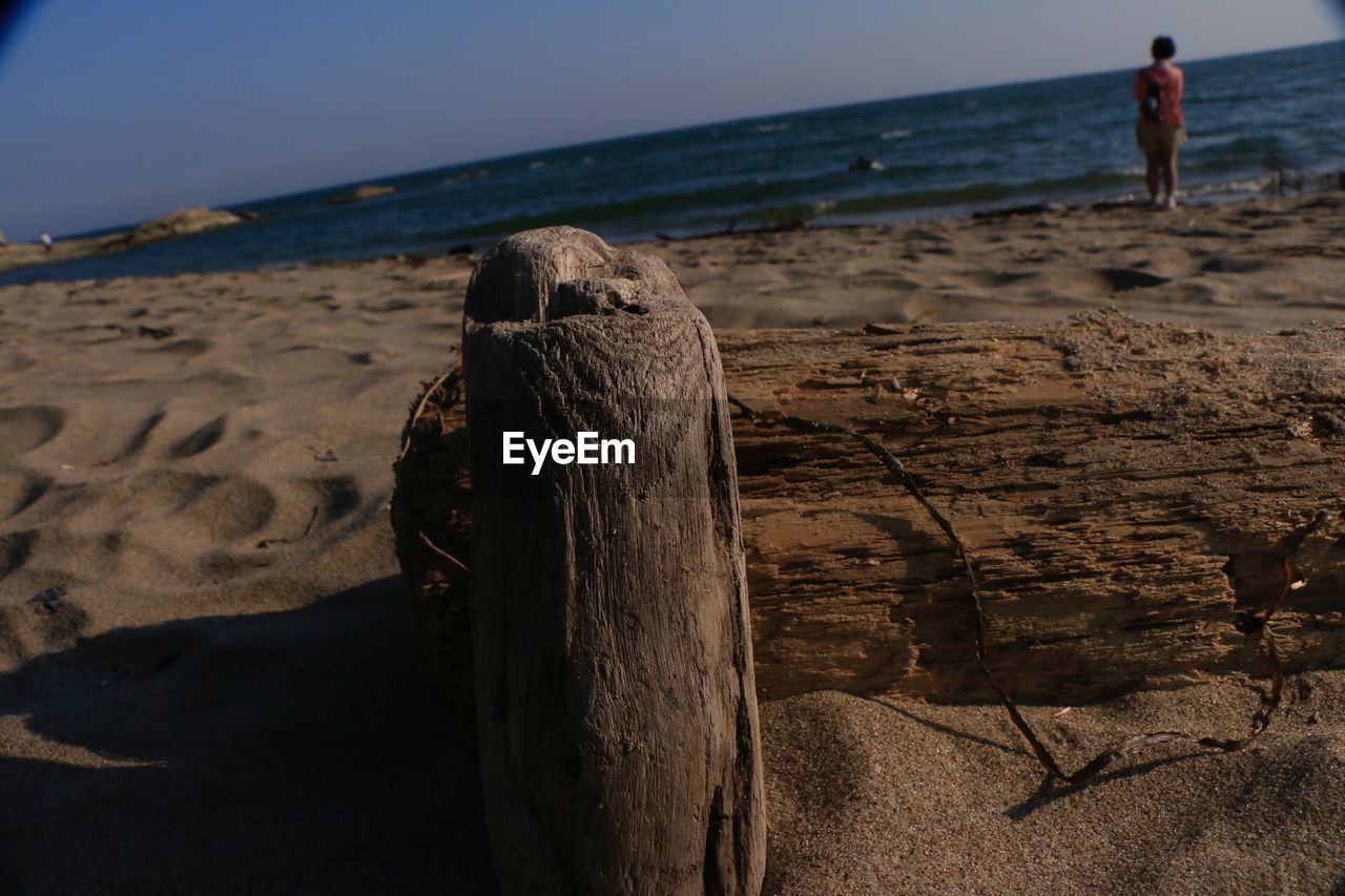 DRIFTWOOD ON BEACH