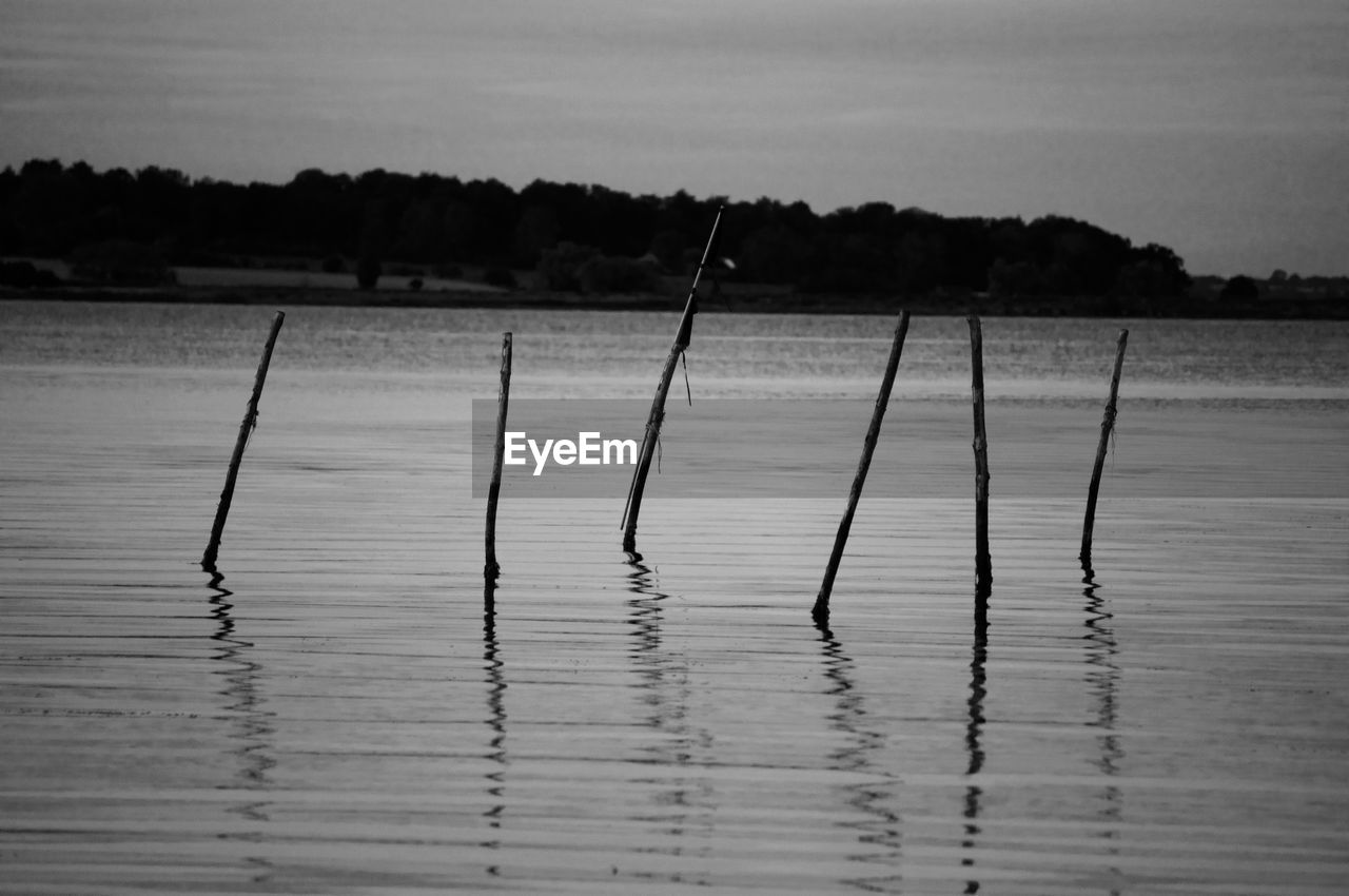 Wooden posts in lake