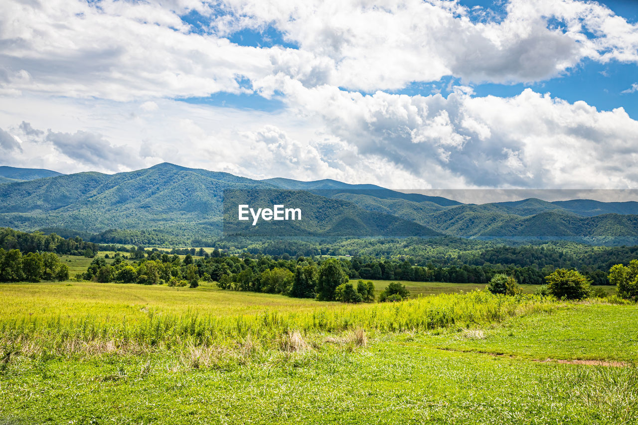 SCENIC VIEW OF LAND AND MOUNTAINS AGAINST SKY