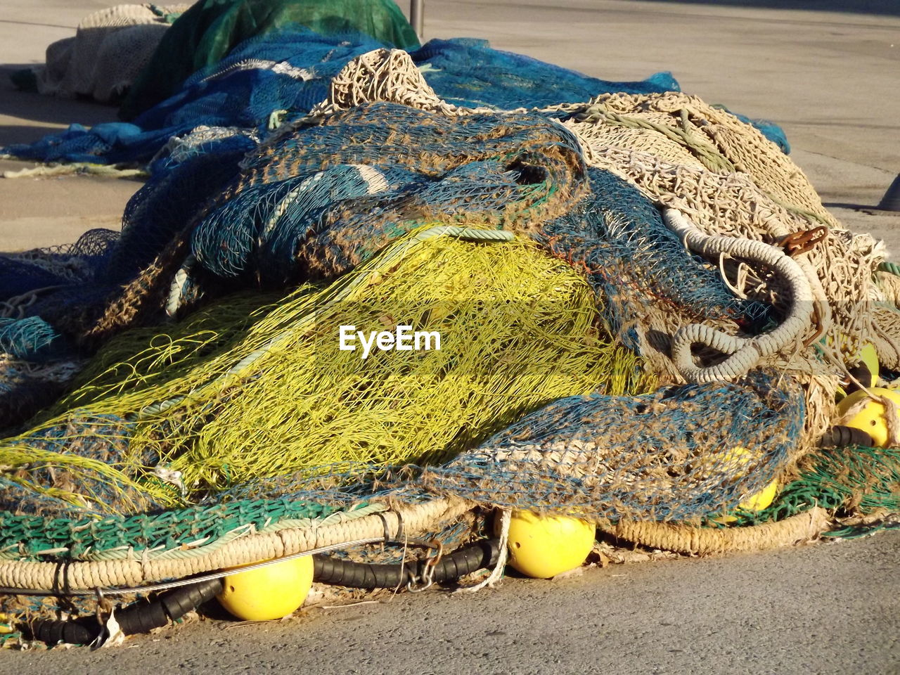 CLOSE-UP OF LIZARD ON SAND