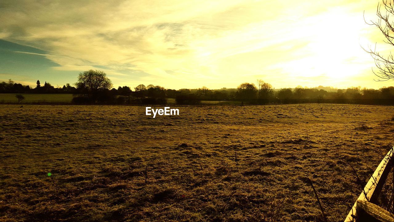 Scenic view of grassy field during sunset