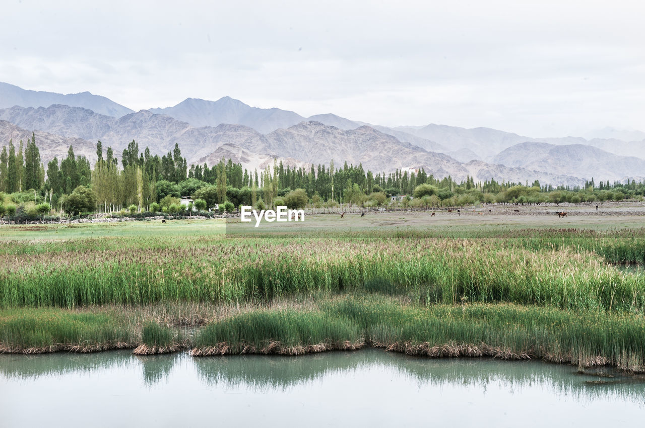 Scenic view of lake with mountains in background