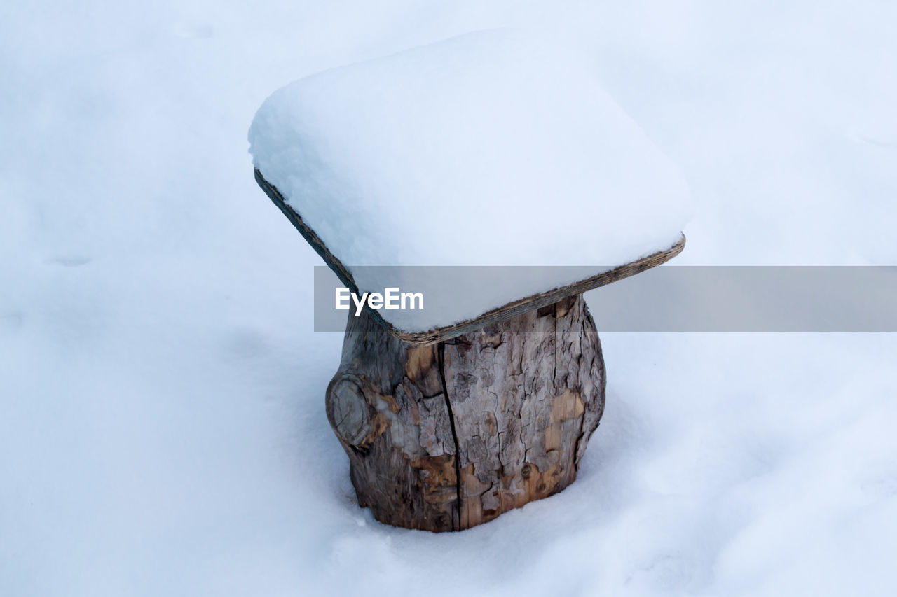 Close-up of snow covered wood on land