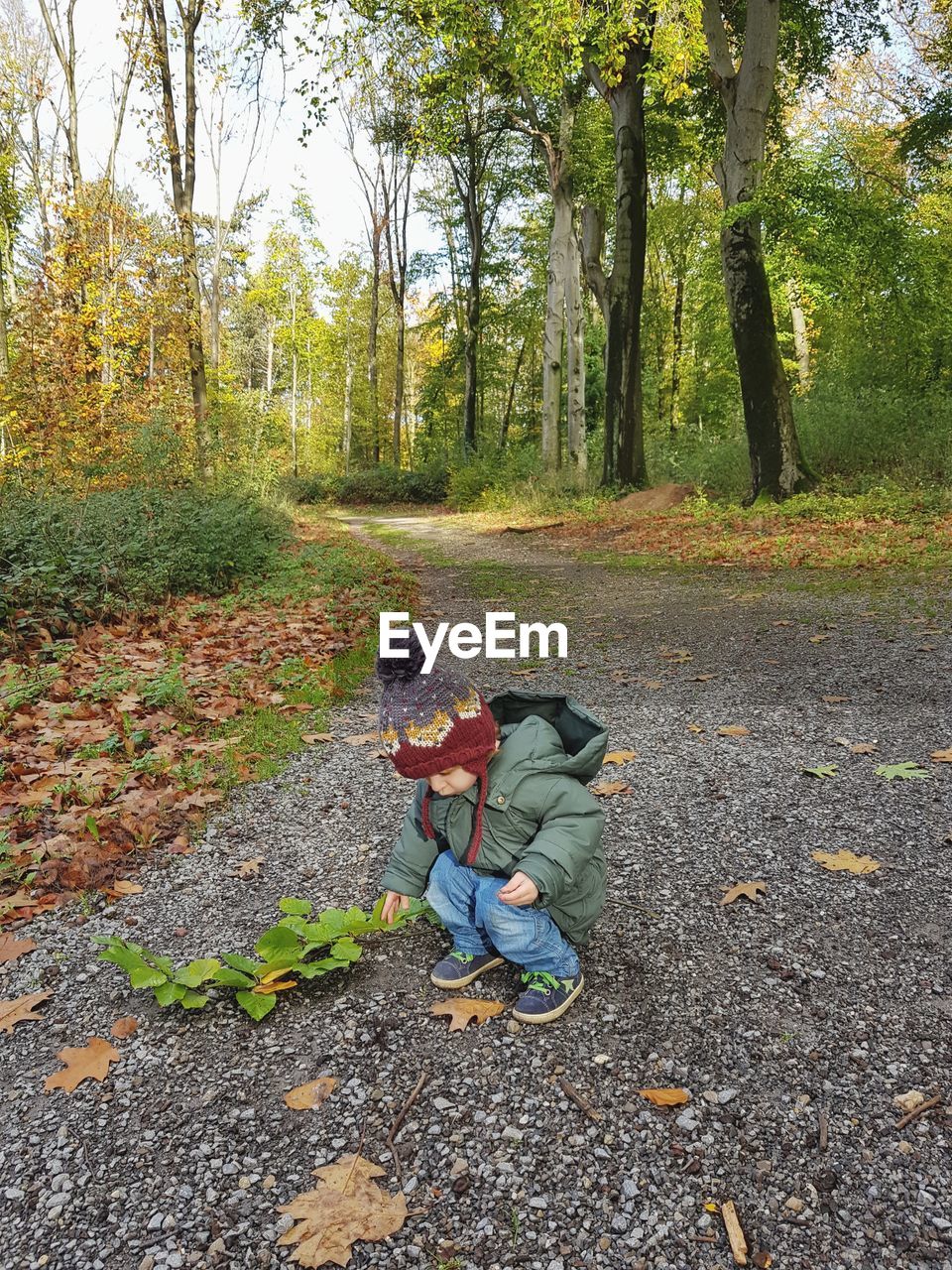 Boy crouching on road during autumn