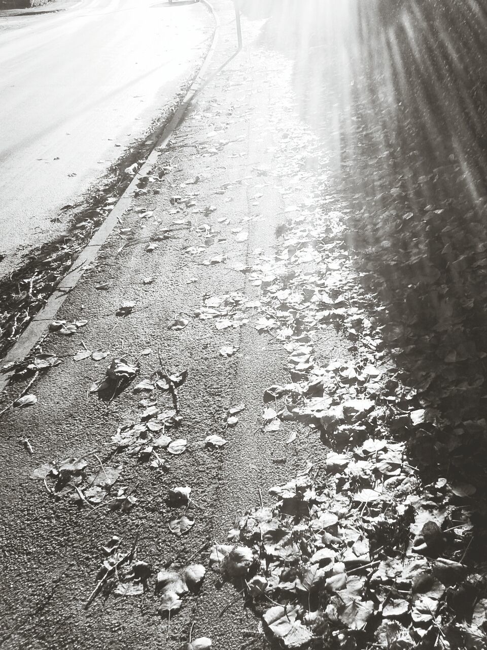 ROAD PASSING THROUGH TUNNEL