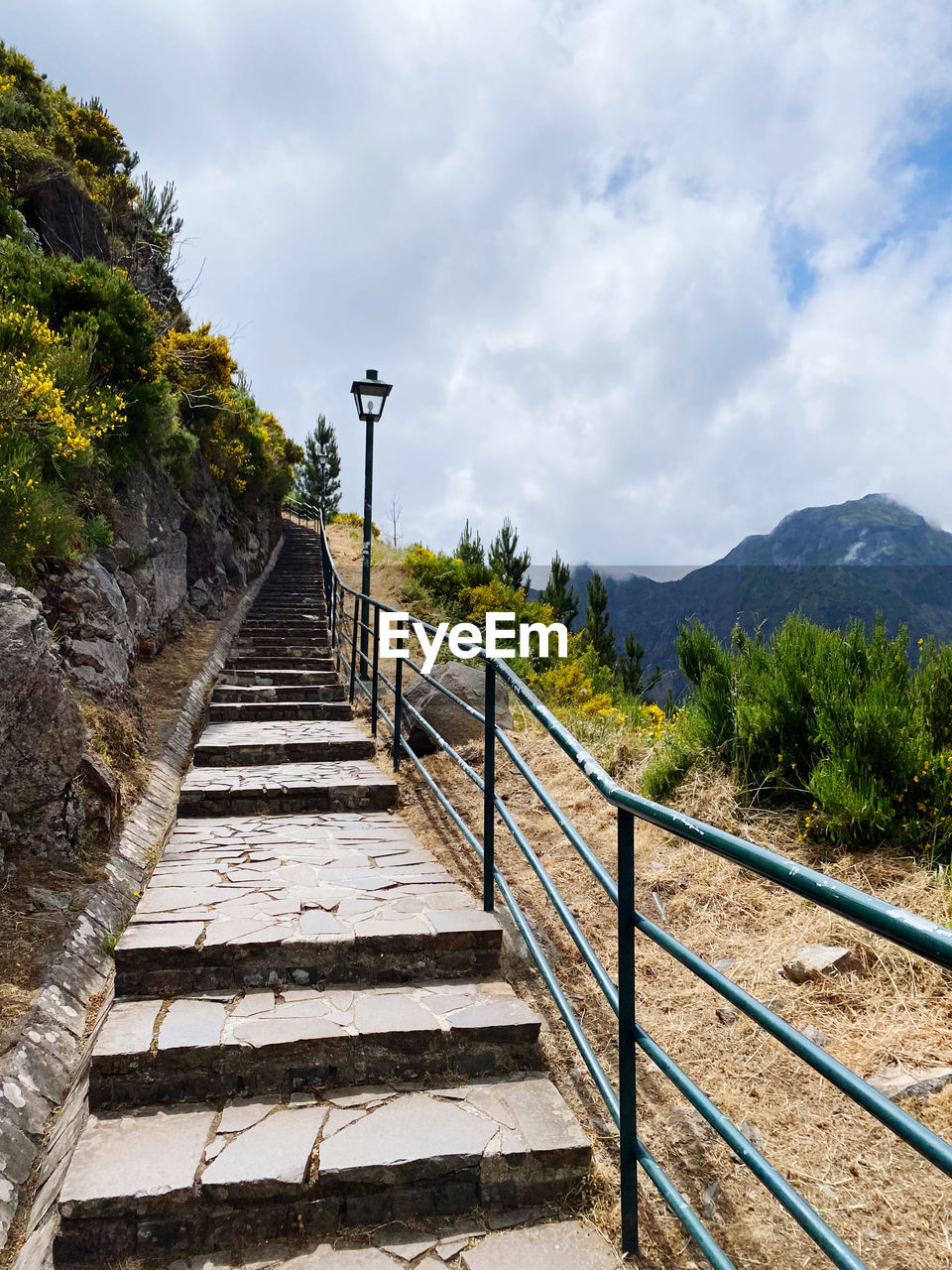 high angle view of bridge