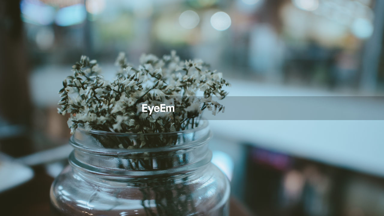 Close-up of flowers in jar on table