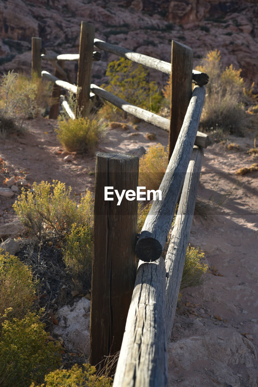 CLOSE-UP OF WOODEN POST ON TREE STUMP