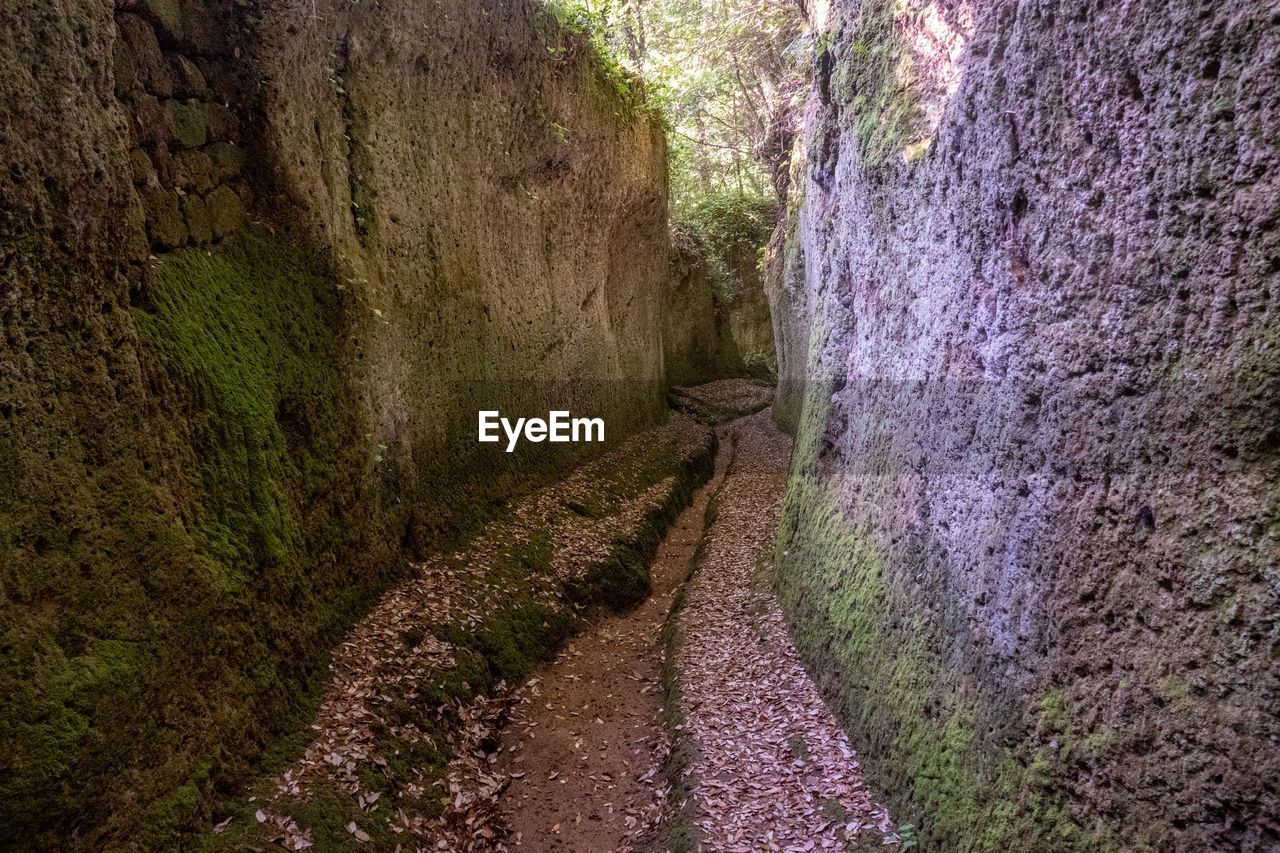 VIEW OF NARROW ALLEY AMIDST ROAD