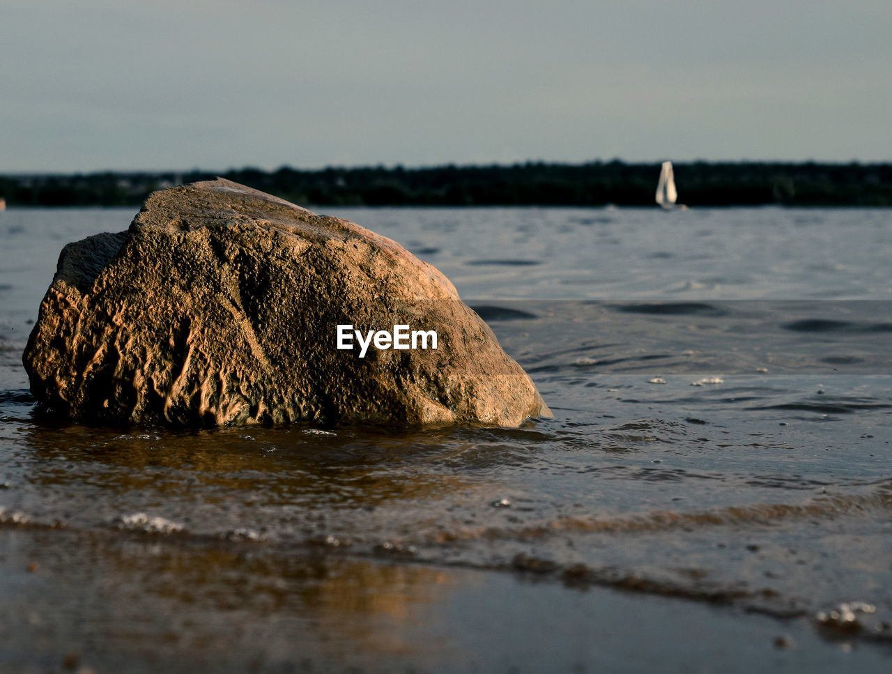 Surface level of rocks on shore against sea