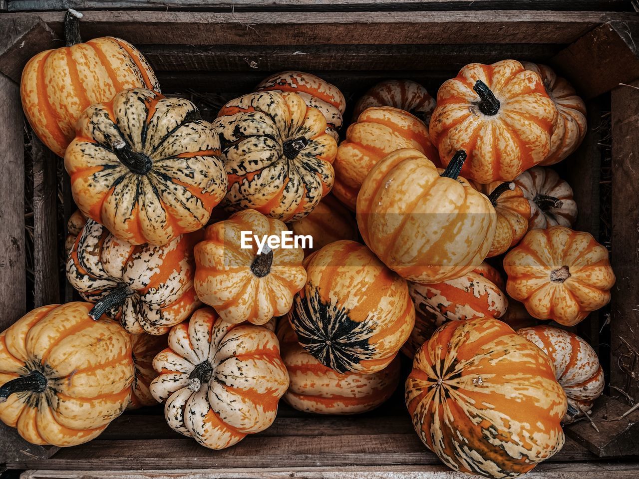 HIGH ANGLE VIEW OF PUMPKINS IN CONTAINER ON TABLE