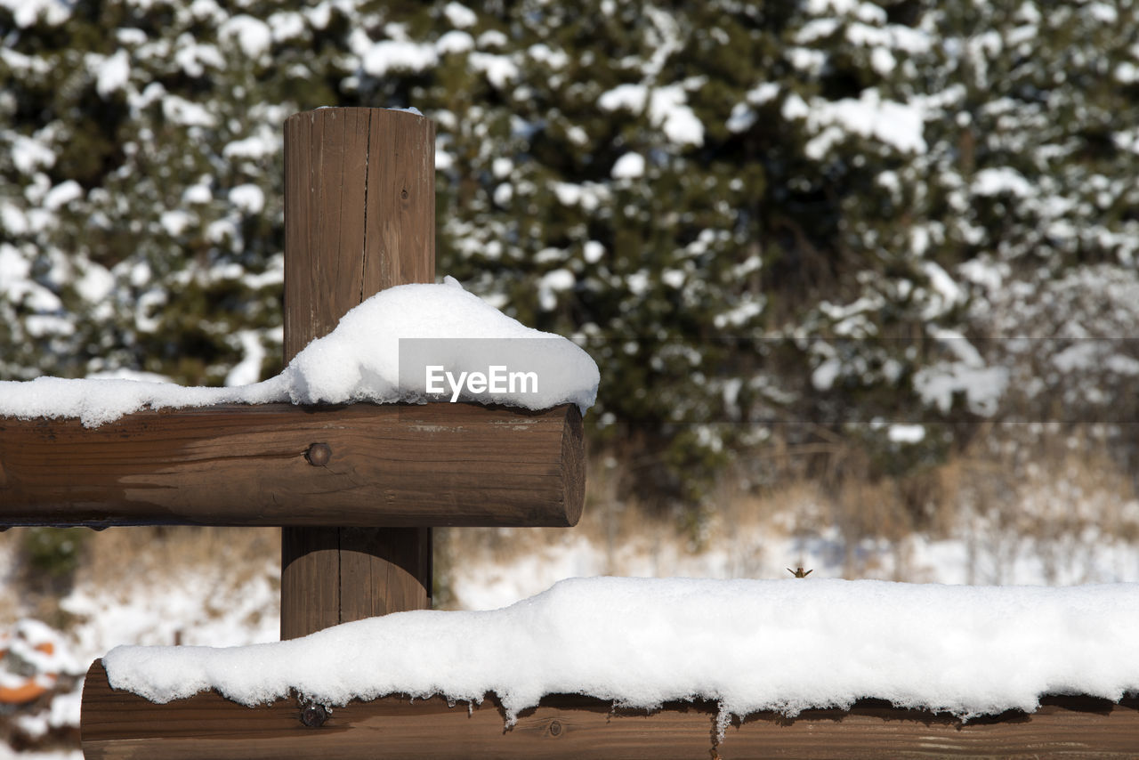 Close-up of snow on wood during winter