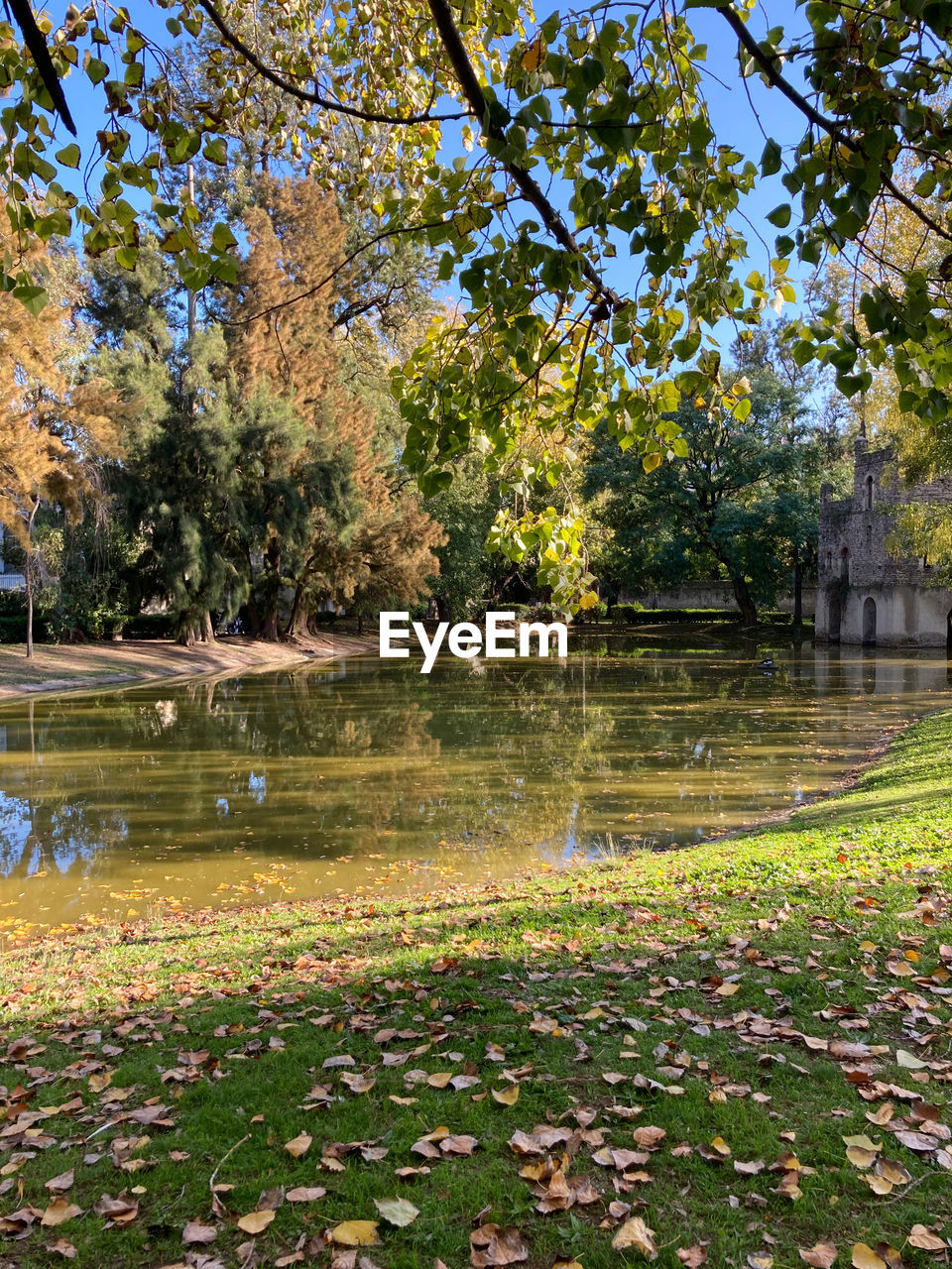 SCENIC VIEW OF LAKE DURING AUTUMN