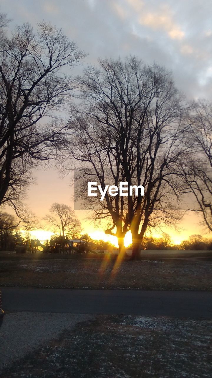 SILHOUETTE BARE TREES BY ROAD AGAINST SUNSET SKY