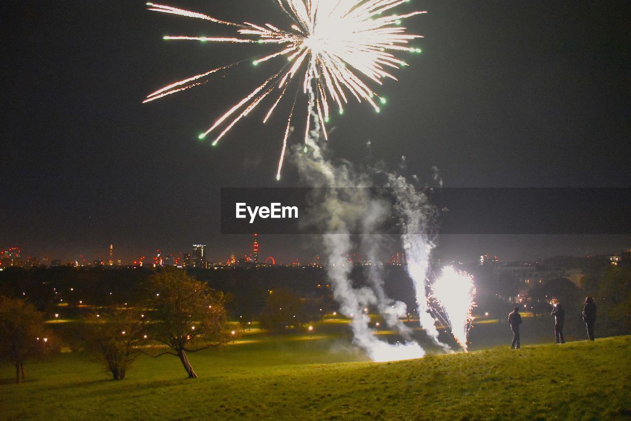 FIREWORKS DISPLAY AT NIGHT