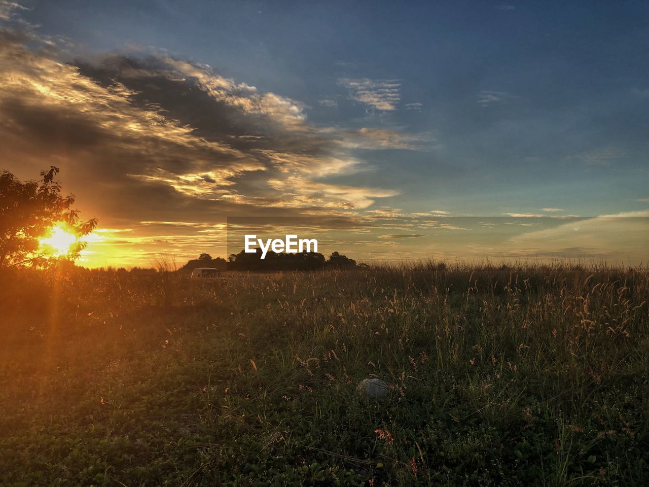 Scenic view of field against sky during sunset