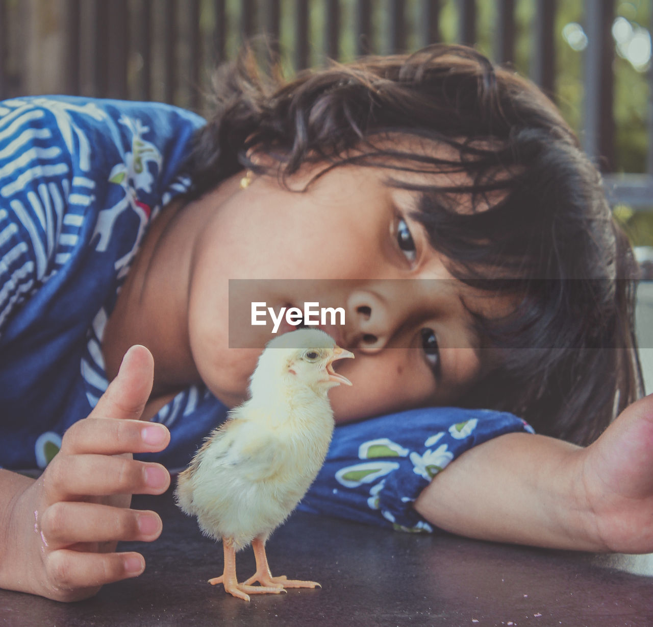 Portrait of cute baby boy holding bird