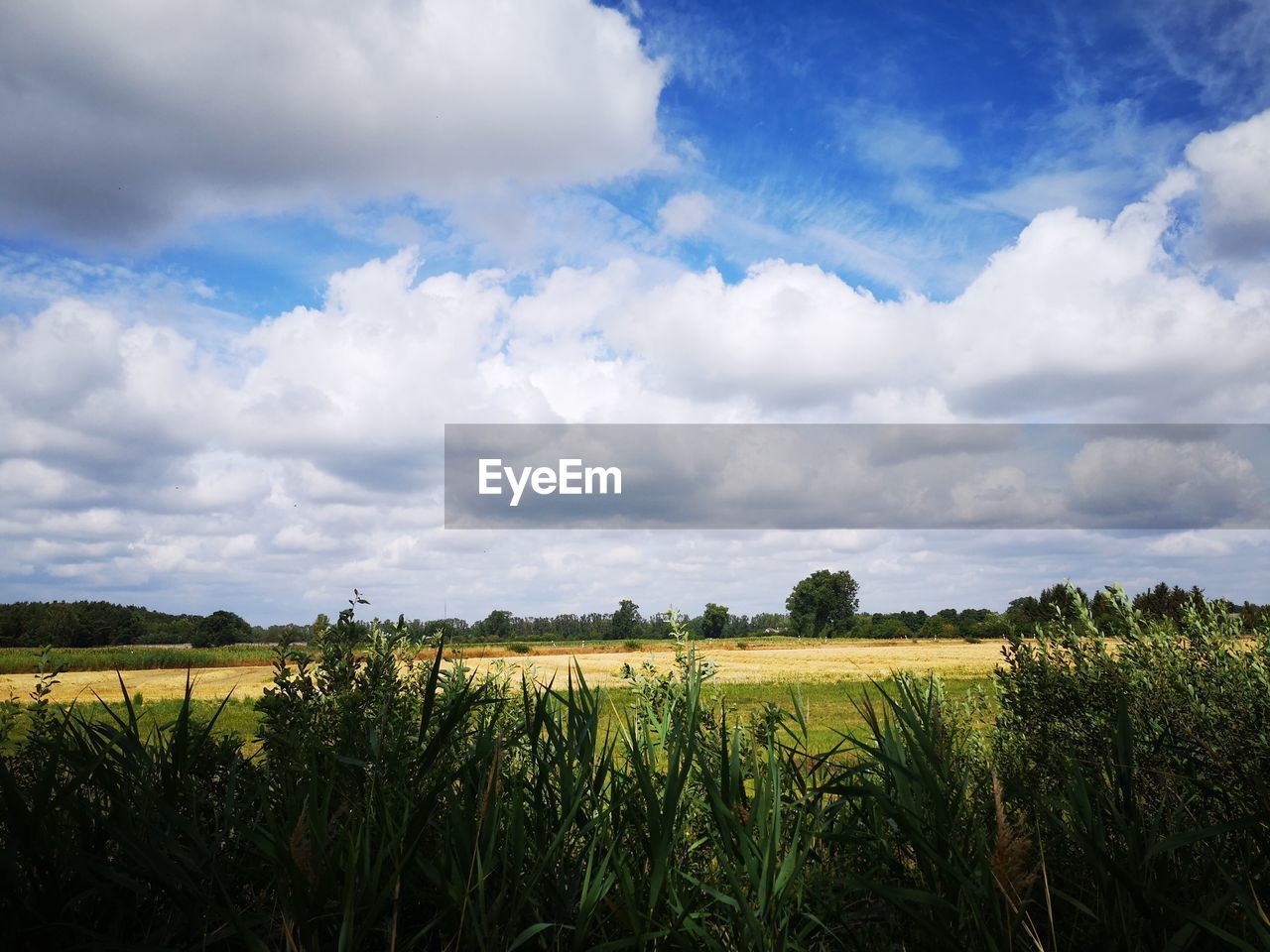 SCENIC VIEW OF FIELD AGAINST CLOUDY SKY