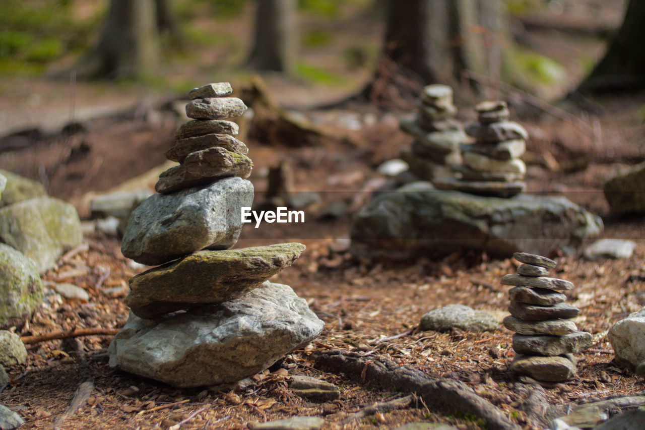 Stack of rocks on land in forest
