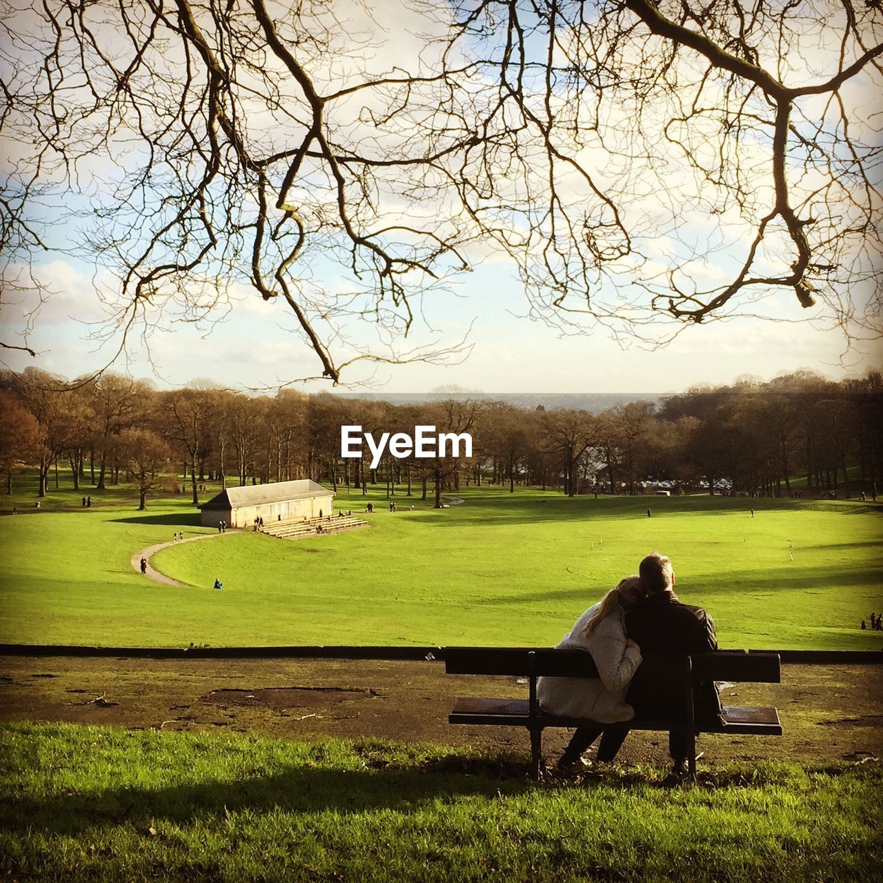 PARK BENCH ON GRASSY FIELD IN PARK