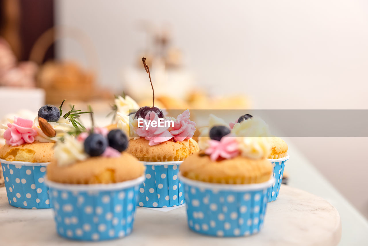 Holiday cupcakes for a birthday, a woman's day, or a mother's day. theme of a party.