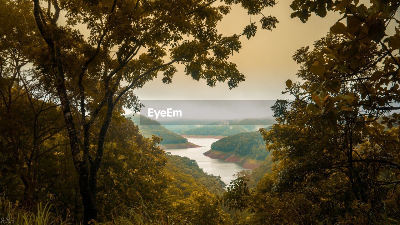 Scenic view of lake by trees against sky