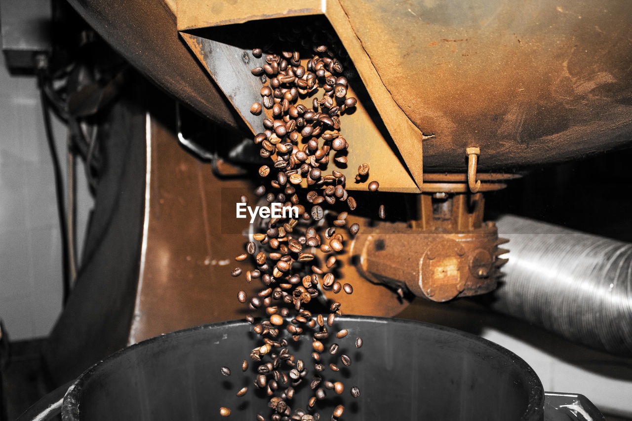 Close-up of coffee beans in factory