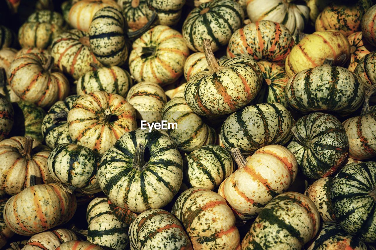 Full frame shot of pumpkins for sale at market