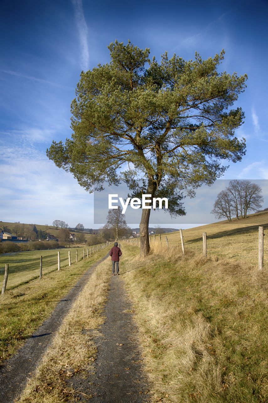 Mid distance of man walking on dirt road by tree against sky