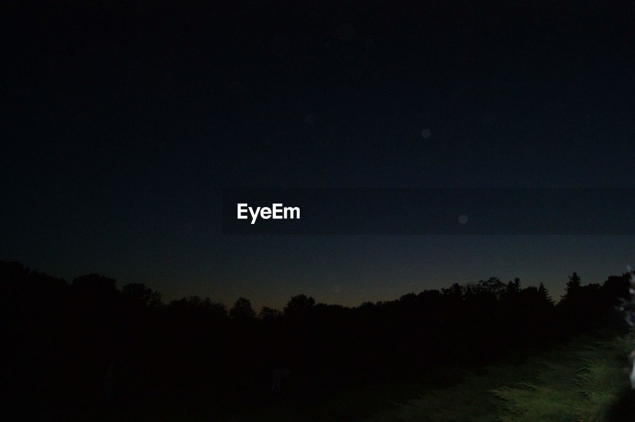 SILHOUETTE OF TREES AGAINST CLEAR SKY AT NIGHT