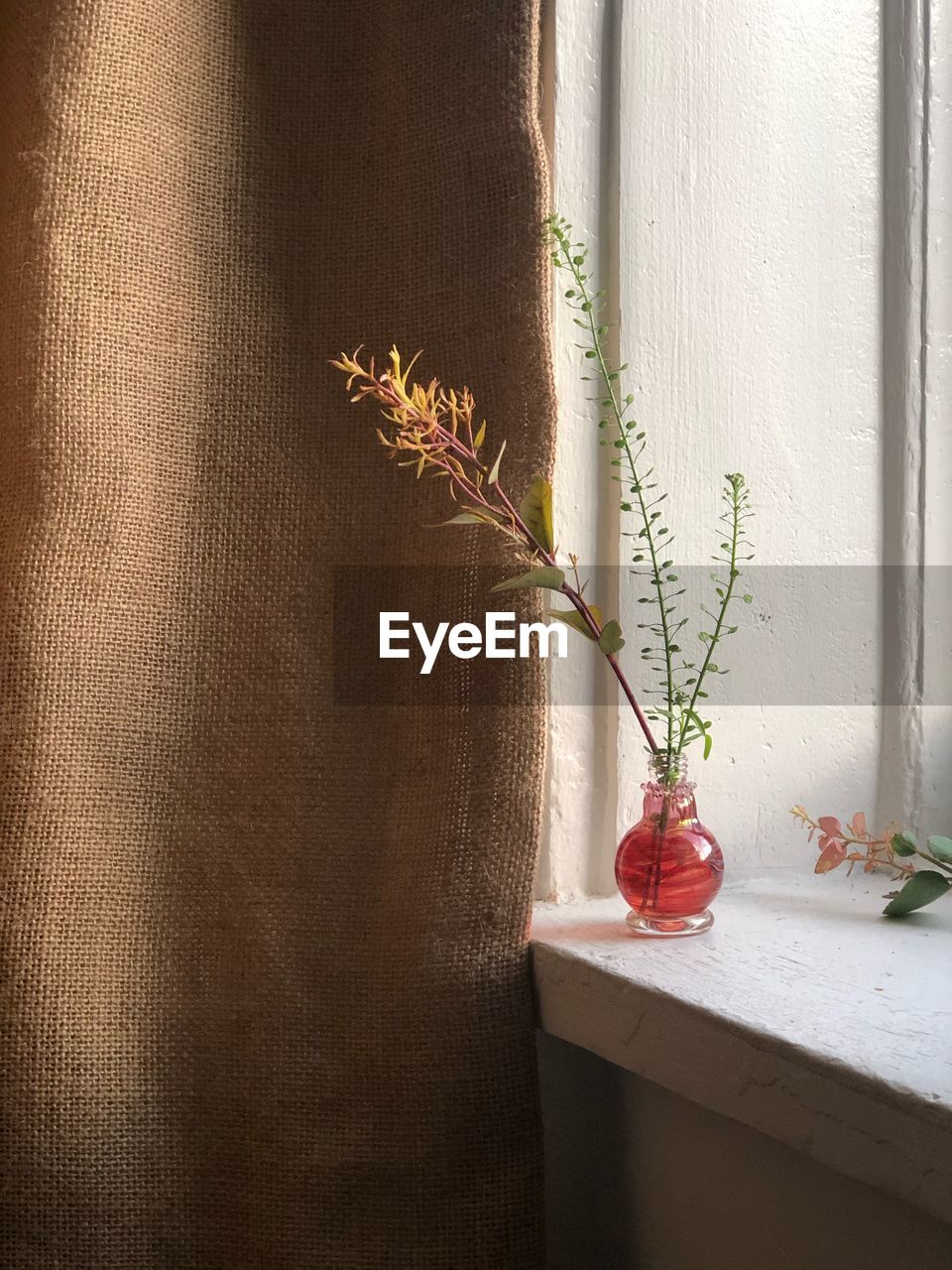 POTTED PLANT ON TABLE AGAINST WALL