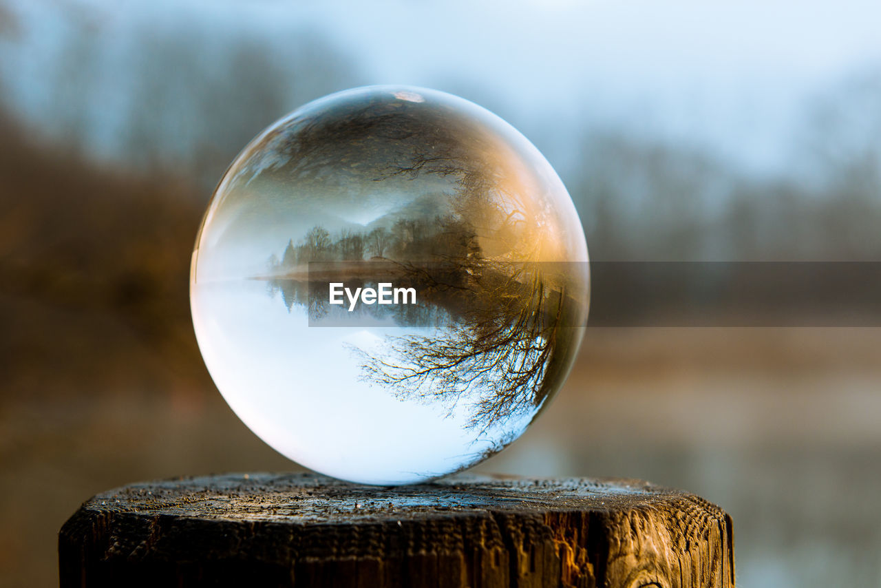 Close-up of crystal ball on tree stump