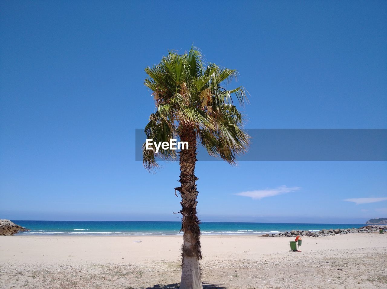 Coconut palm trees on beach against blue sky