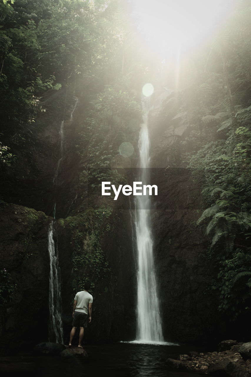 Rear view of person standing by waterfall in forest