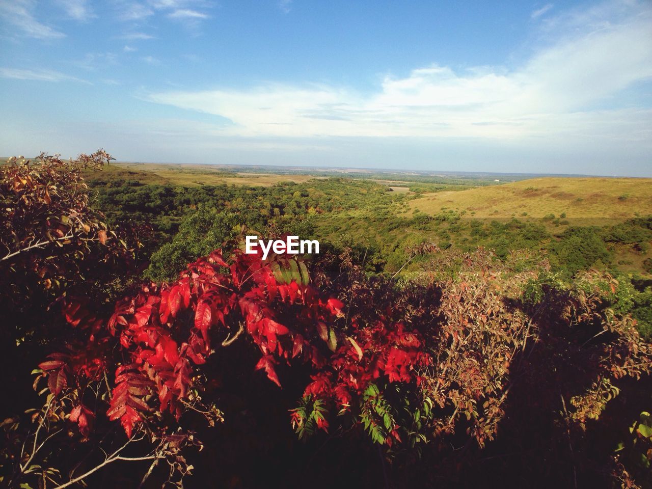 View of landscape against sky on sunny day