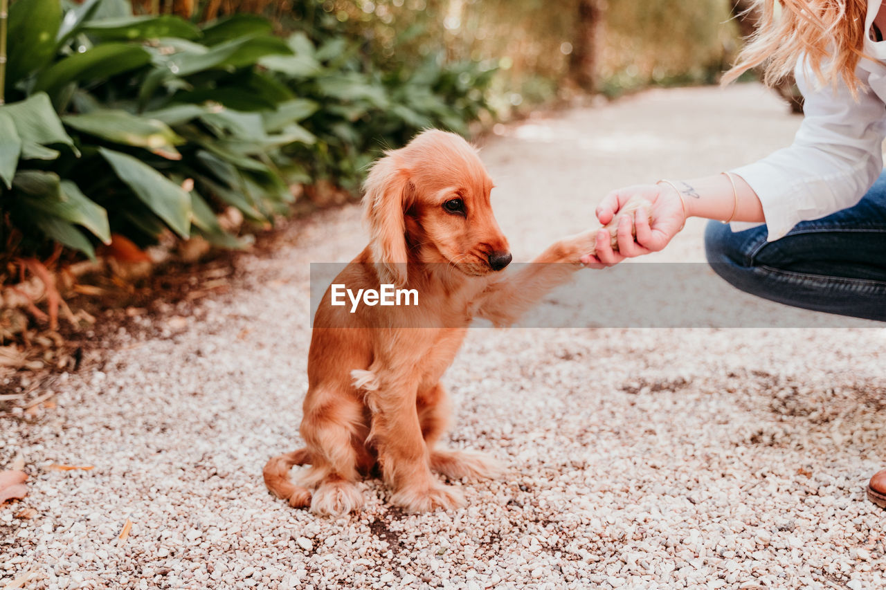 Woman with dog at park