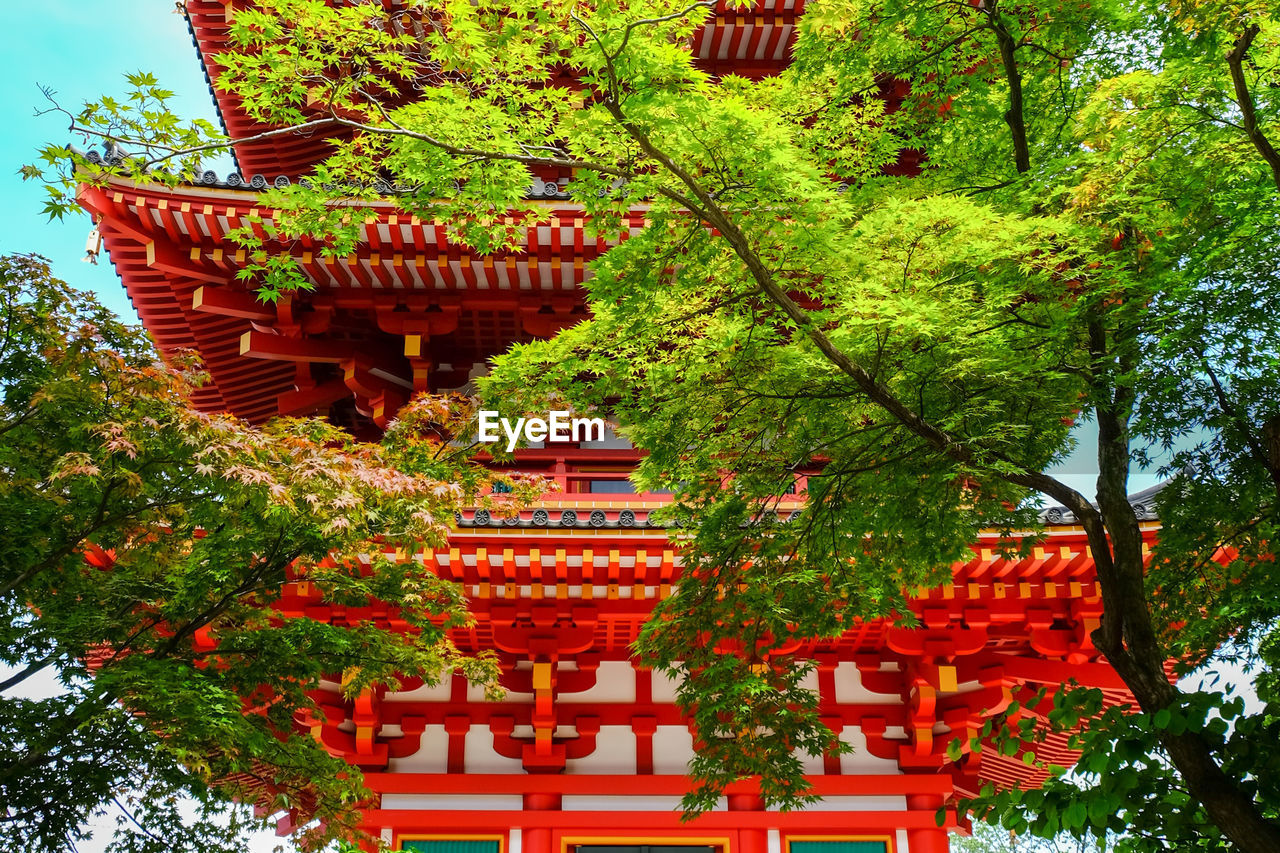 Low angle view of japanese temple behind trees