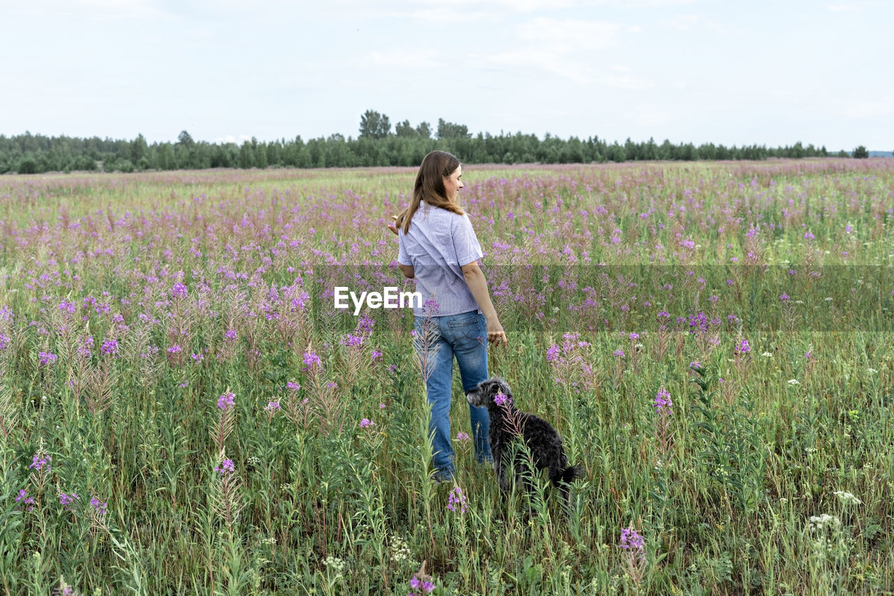 Rear view of young blond woman walking on field among flowers fireweed with dog, traveling with pets