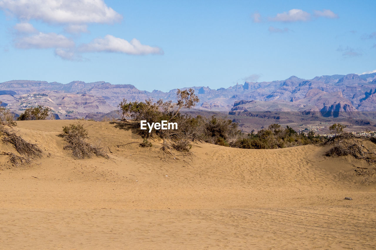 Scenic view of desert against blue sky