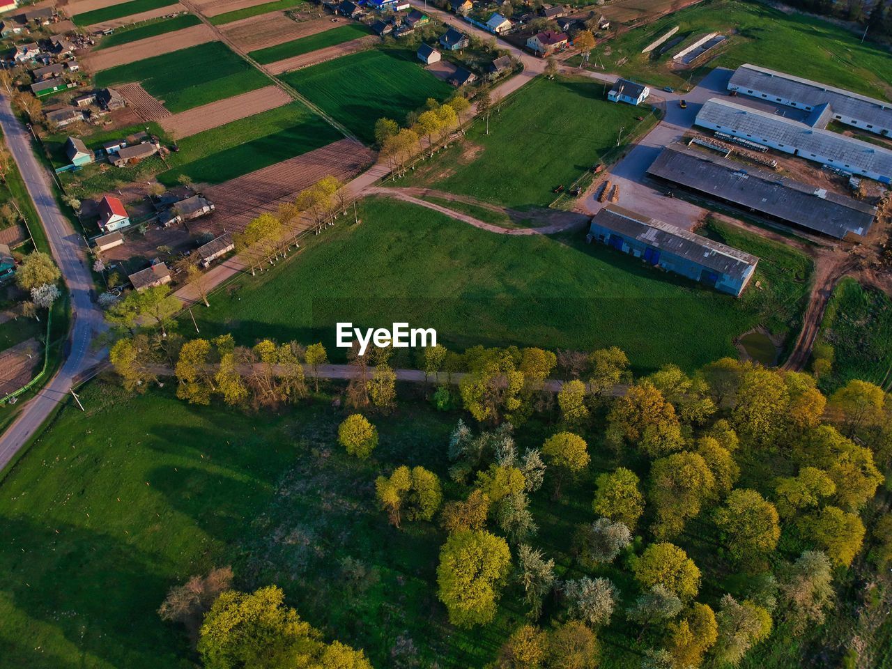 High angle view of agricultural field