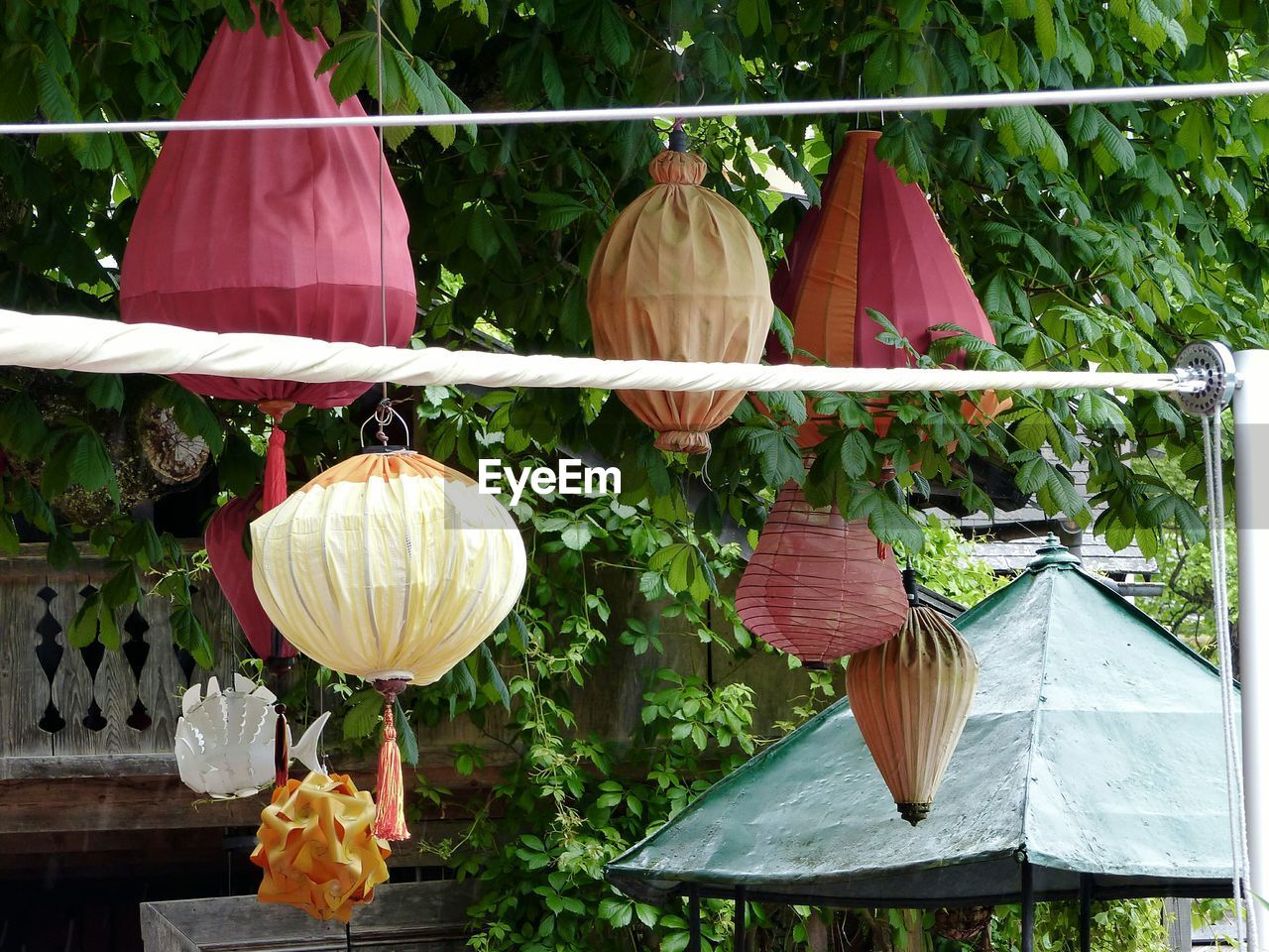 Lanterns hanging from tree