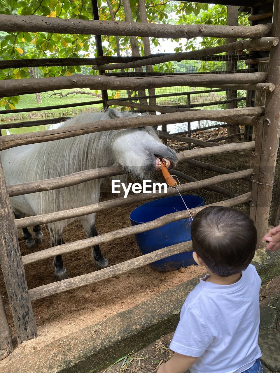 Rear view of boy climbing at zoo