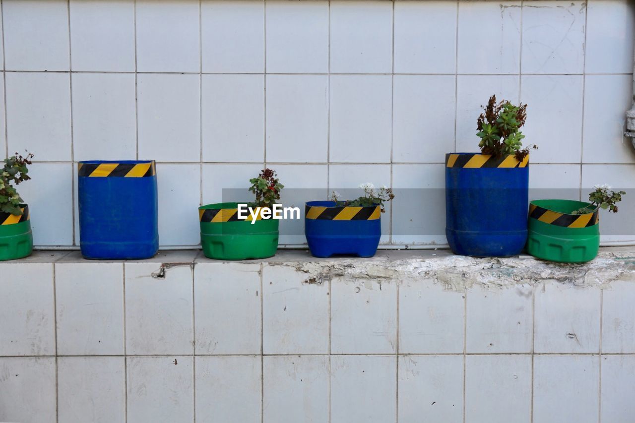 Potted plants against tiled wall
