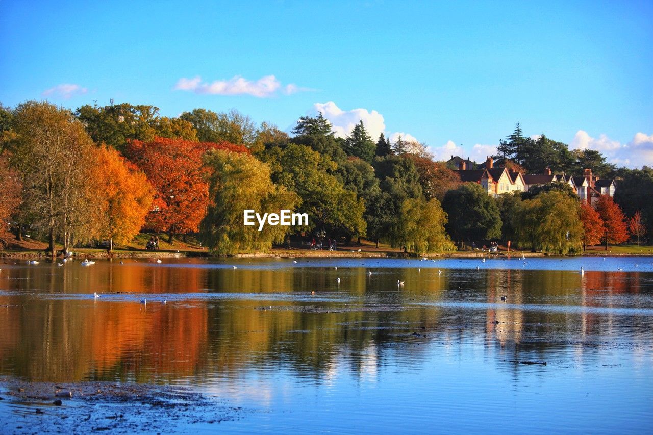 scenic view of lake by trees against clear sky