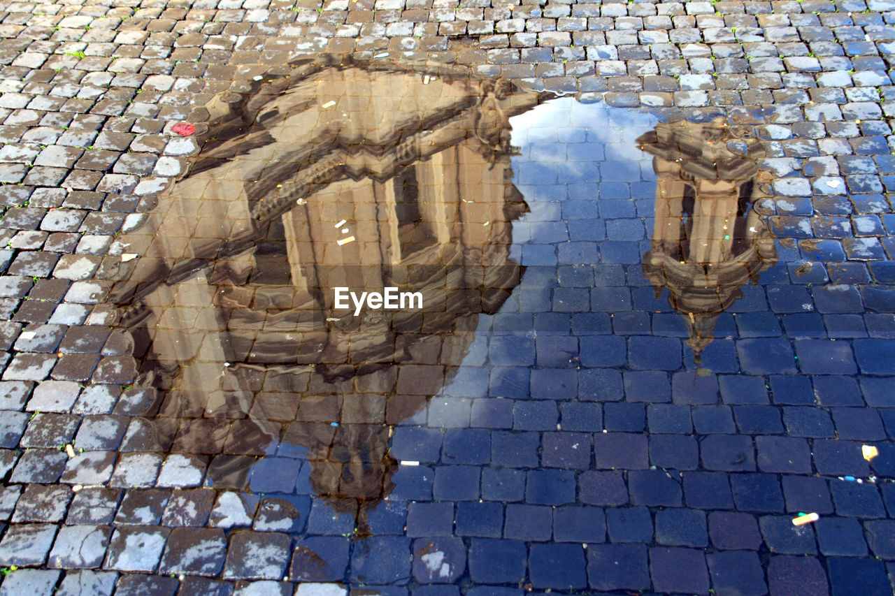 Church of santagnese reflection in puddle at piazza navona