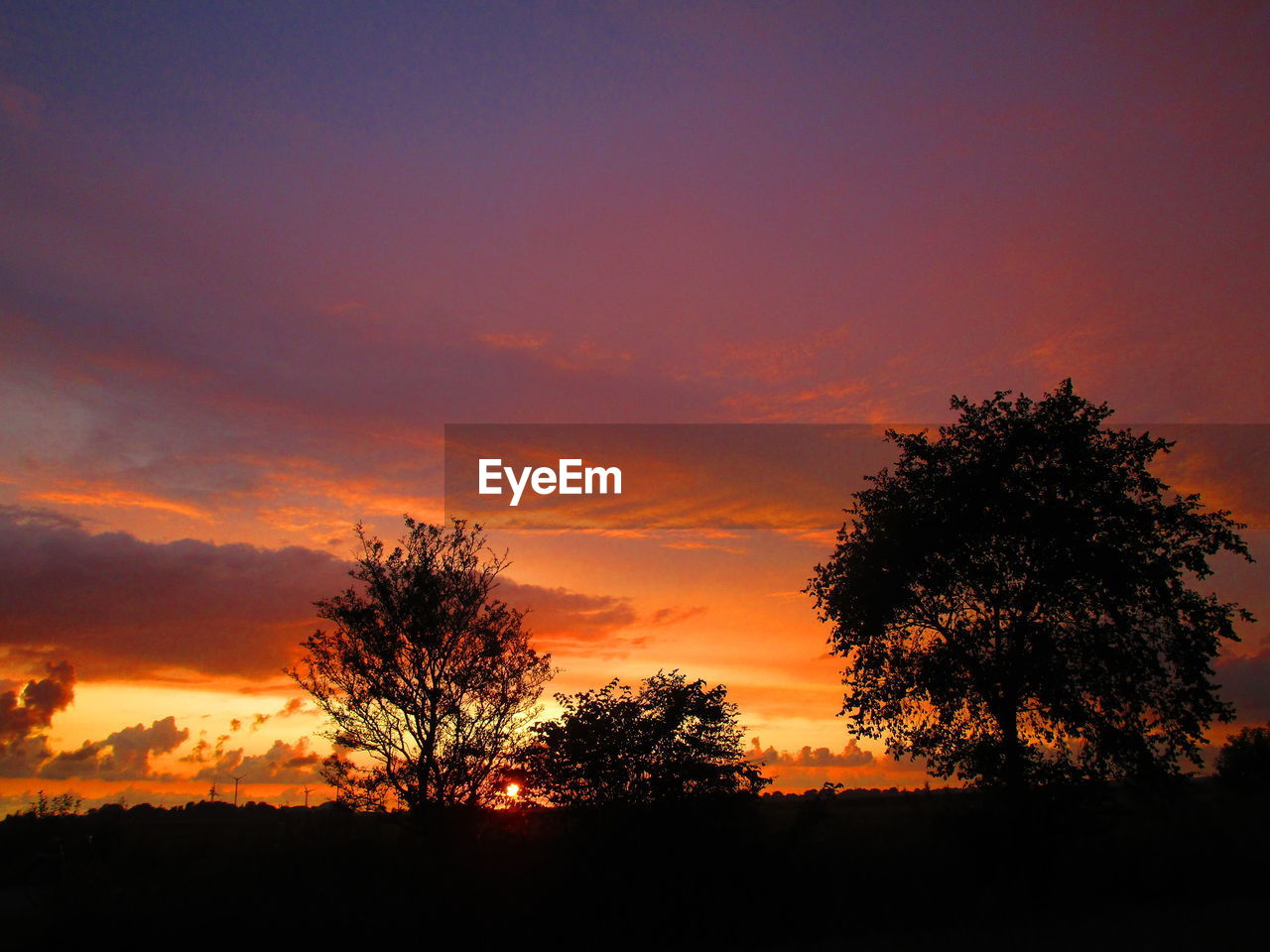 SILHOUETTE TREES ON LANDSCAPE AGAINST ROMANTIC SKY